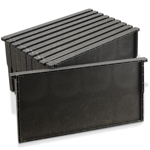 9-in Black Plastic Beeswax Coated Bee Frame and Foundation Body - 10pk